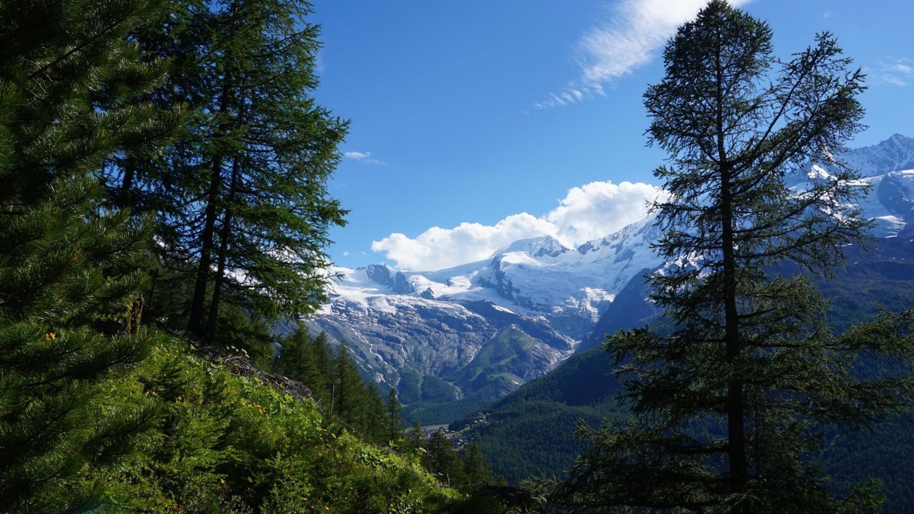 Photo of Others in Saas Grund