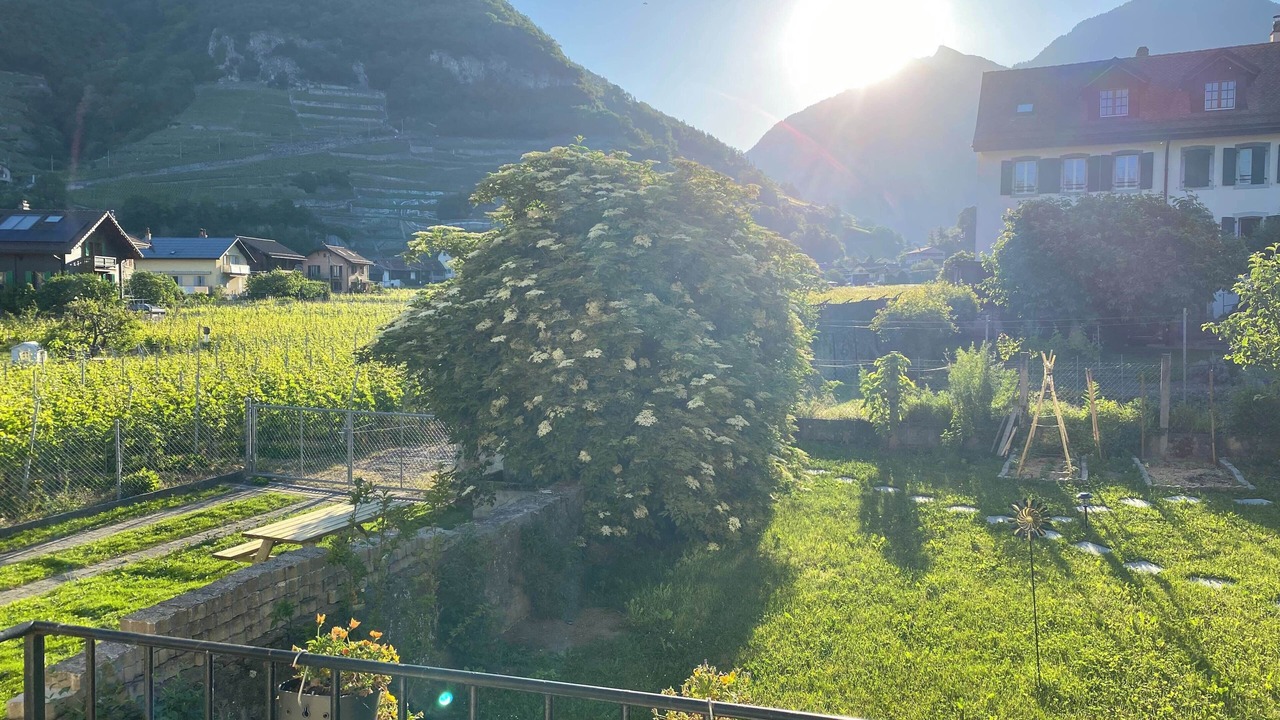 Photo of Outdoor in Aigle
