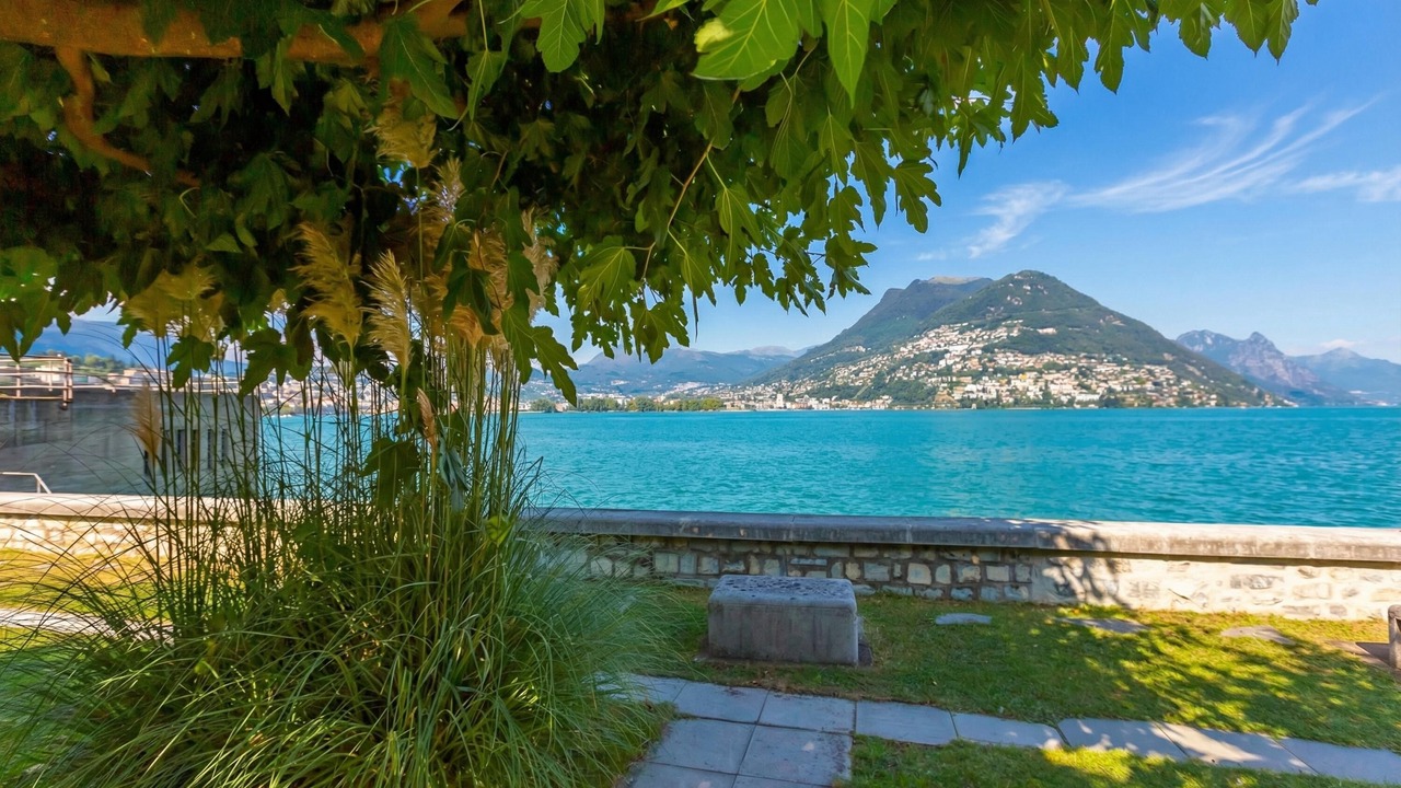 Photo of Outdoor in Paradiso