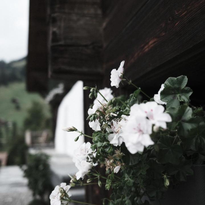 Photo of Others in Zweisimmen