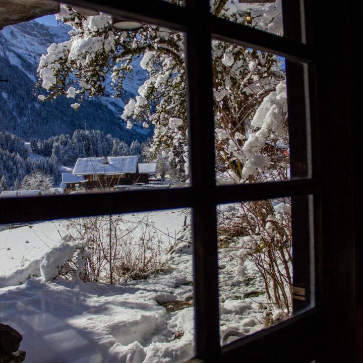 Photo of Others in Champery