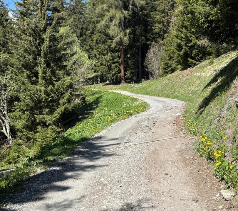 Photo of Others in Verbier