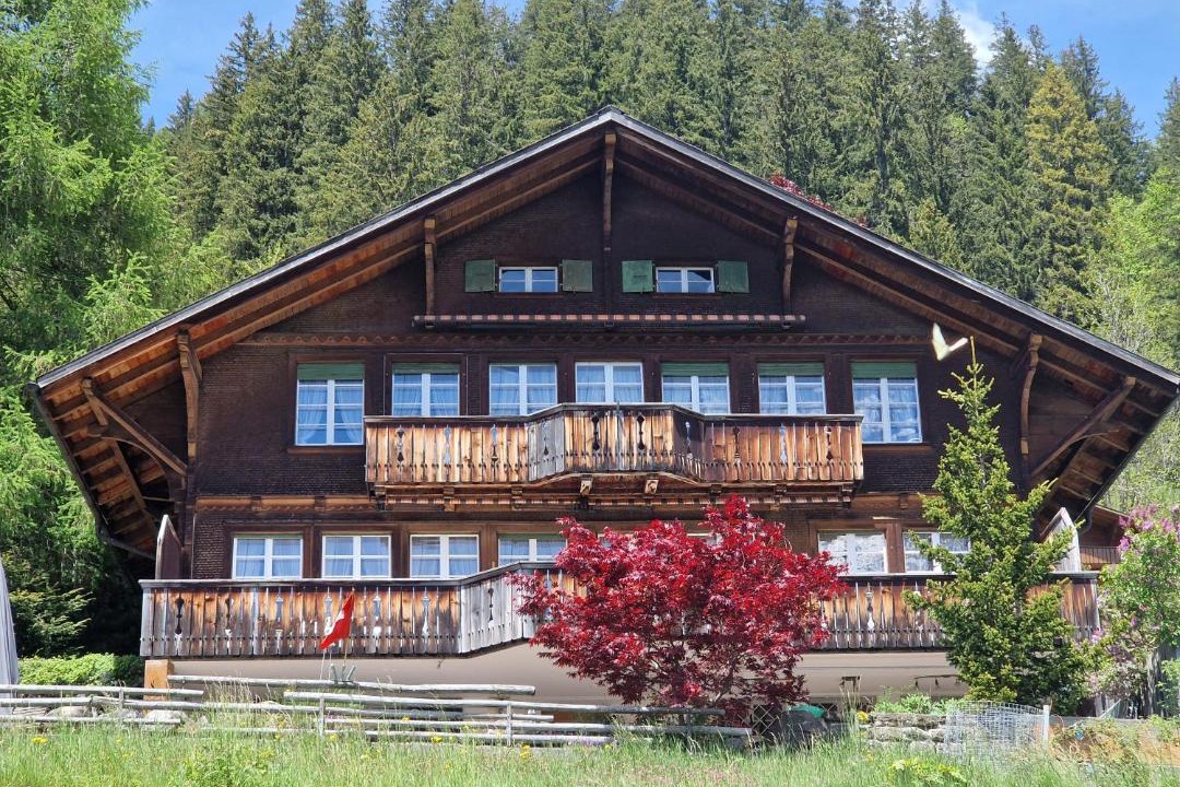 Photo of Others in Adelboden