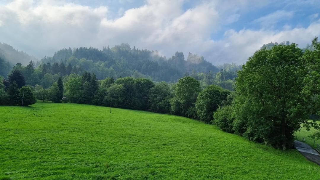 Photo of Others in La Roche