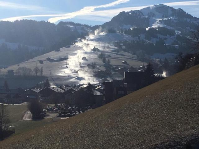 Photo of Others in Zweisimmen