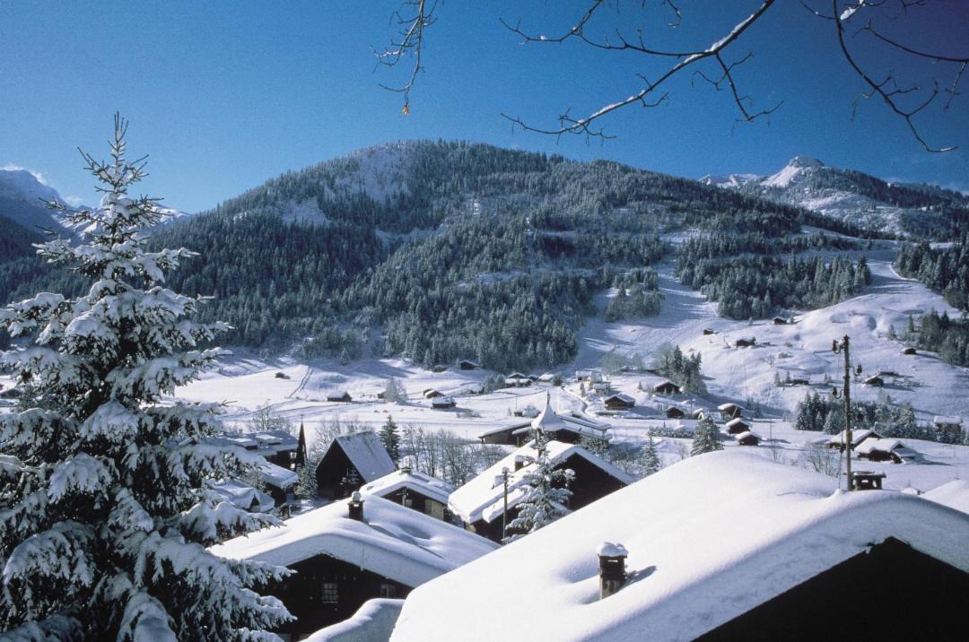 Photo of Others in Ormont-Dessus