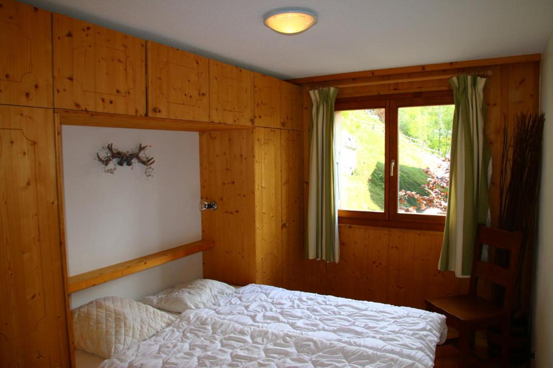 Photo of Others in Nendaz