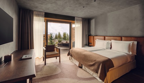 Deluxe Room, Terrace