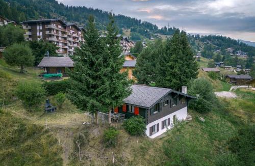 Mayens-de-Riddes Ski Chalet | Chalet Nicolas