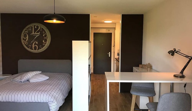 Large Studio Near Epfl And Lausanne City Center in Ecublens