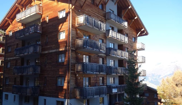 Pleasant Apartment With Sauna in Nendaz