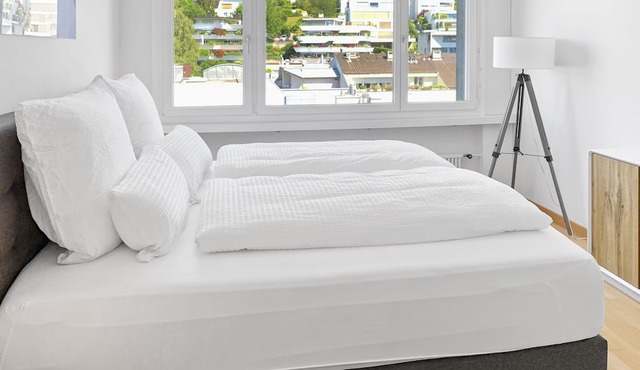 Mountain View Business Apartment, Fiber, Netflix in Zug