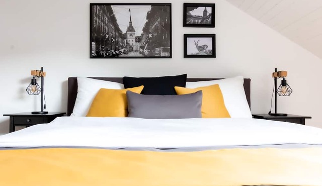 Spacious Apartment: comfortable and central in Bern