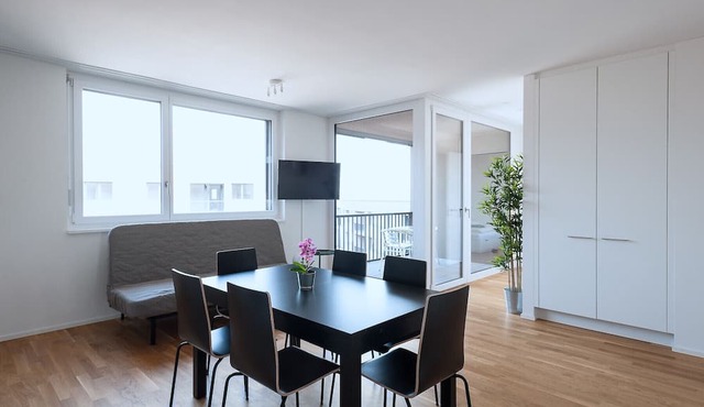 BS Bear IV - Messe HITrental Apartment in Basel