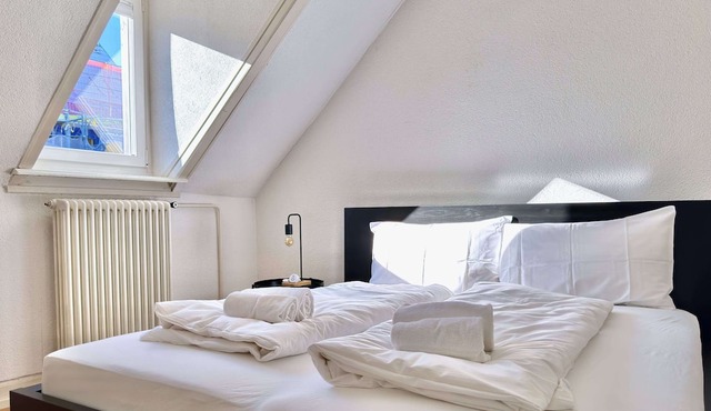Charming Two-bedroom Attic Flat in Zurich City Center in Zürich