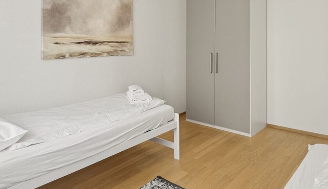 2BR flat in the city center (West 12) in Zürich