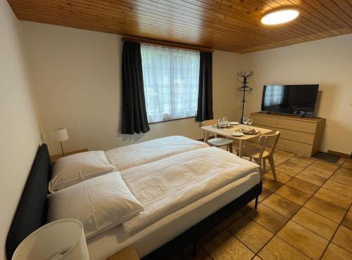 Cozy Studio in Matten