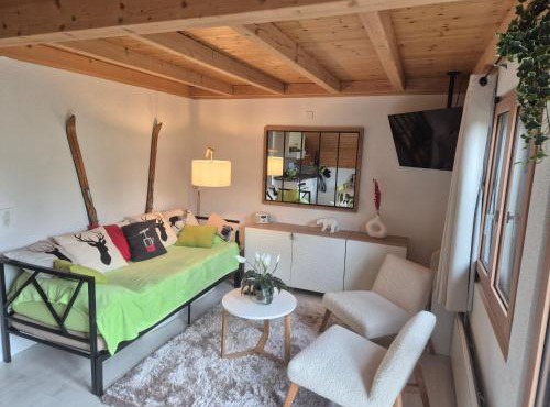 Joli nid cosi à la montagne -Lécherette in Chateau-d'Oex