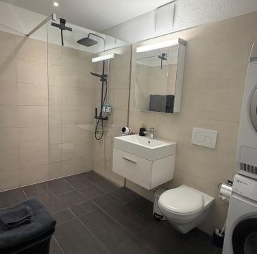Luxury Penthouse-Apartment mit Rooftop-Terrasse in Dulliken