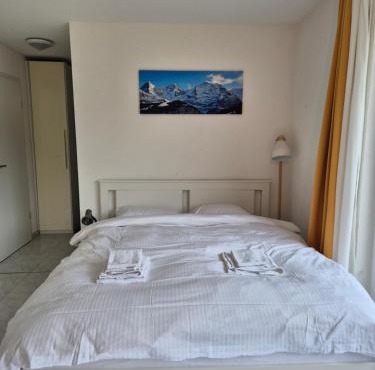 Alpine Bliss Studio in Wilderswil