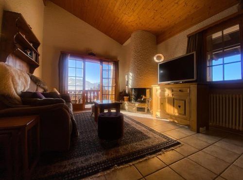 Aigle Royal, comfortable and bright 3-bedroom in Gryon