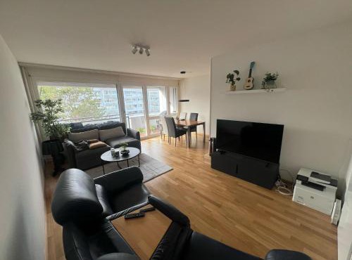 Möbelierte Wohnung mit Balkon zwischen Bahnhof und St Jakob in Basel