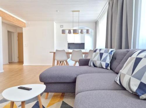 Apartment for 7, close to Zurich and Luzern, free private parking in Wohlen