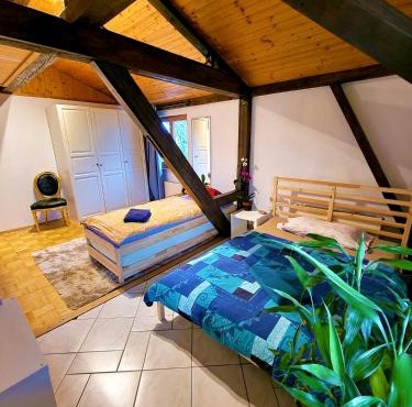 Blau bright room in nice apartment in Münchenstein